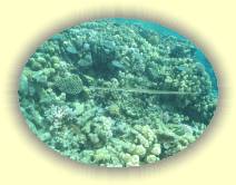 IMG_2007_05_30 13_52_35 * 2124 x 1592 * (697KB)